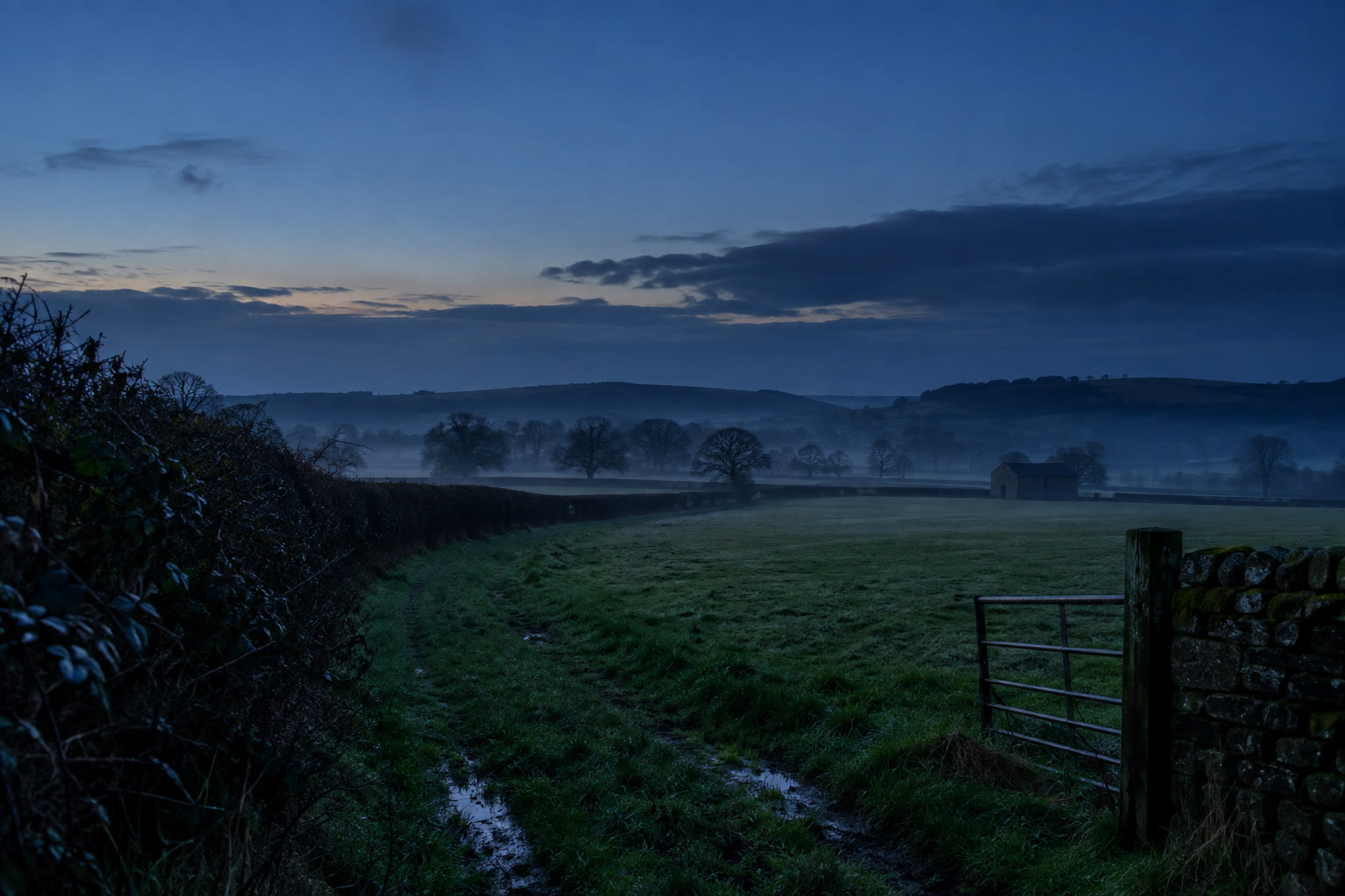 Misty pasture and hedgerow on rural farmland at dusk
