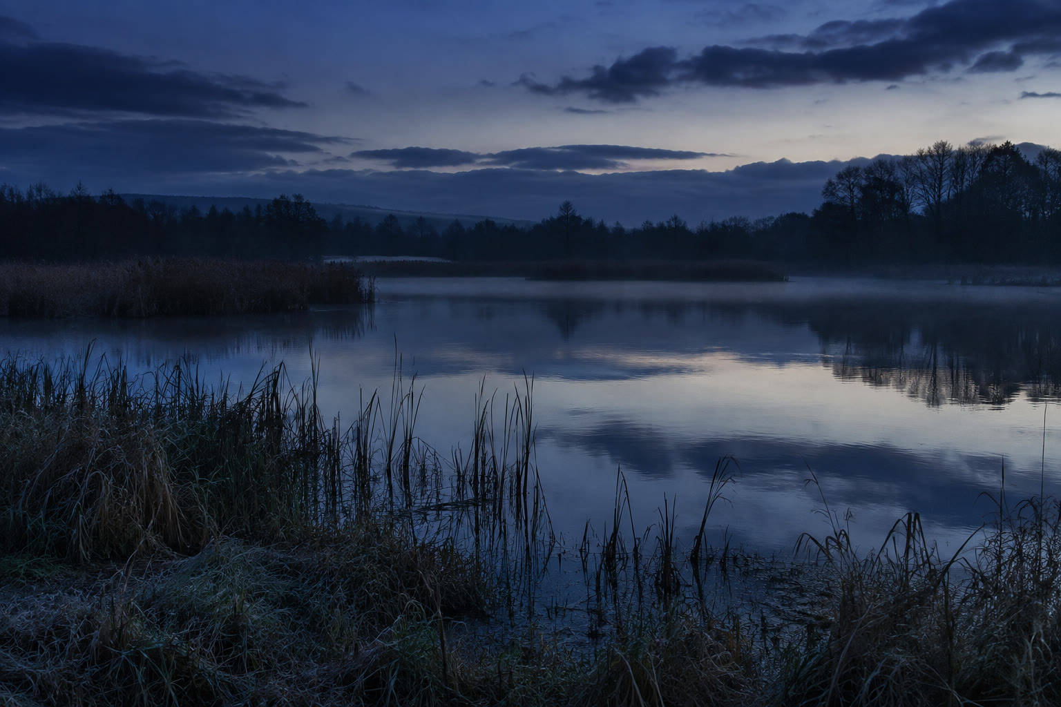 Still lake, reeds and distant trees under a blue dusk sky