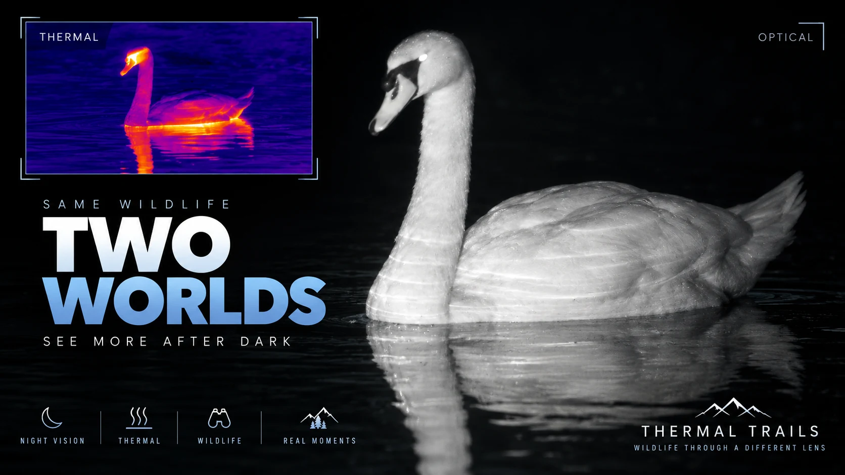 A swan on dark water shown in optical night vision, with an inset thermal view of the same bird in vivid purple, pink and yellow